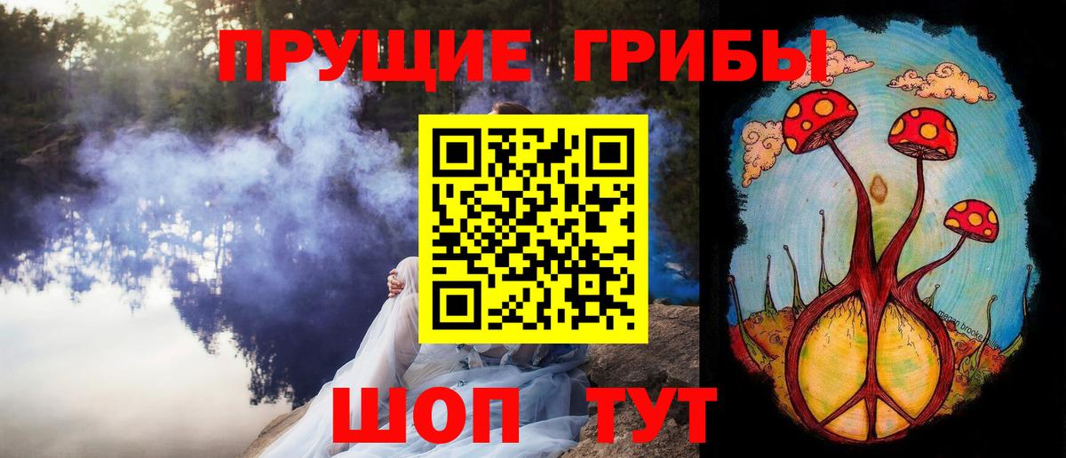Электрогорск  Псилоцибиновые грибы MAGIC MUSHROOMS  наркота  Вход с VPN 